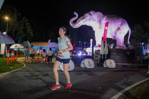 BIB: 
                            <button type="button" onclick="openModal(26552010)" class="btn btn-primary btn-sm float-right btn-popup" data-toggle="modal" data-target=".modal-high-quality">
                        <i class="fas fa-shopping-cart"></i> Add to Cart
                    </button>
                                            <button type="button" onclick="isThisMe(26552010, true)" class="btn btn-success btn-sm float-right btn-popup btn-isme hidden" data-toggle="tooltip" data-placement="bottom" title="นี่คือรูปของคุณใช่ไหม คลิกที่นี่เพื่อเอาเข้าอัลบั้ม">
                        <i class="fas fa-plus"></i> Add to album
                    </button>
                    <button type="button" onclick="isThisMe(26552010, false)" class="btn btn-warning btn-sm float-right btn-popup btn-isnotme hidden">
                        <i class="fas fa-ban"></i> Remove from album
                    </button>